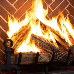 Superior 48-Inch WRT8048 Traditional Outdoor Masonry Wood Burning Fireplace